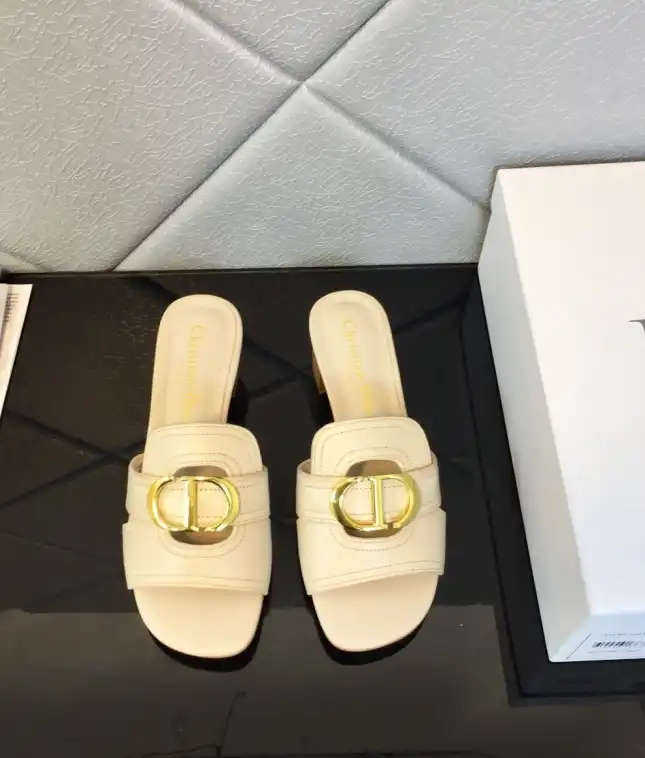 hype Christian Dior Slippers