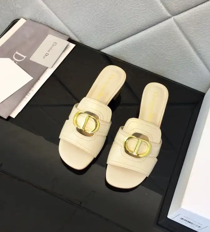 hype Christian Dior Slippers