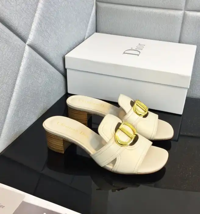 hype Christian Dior Slippers