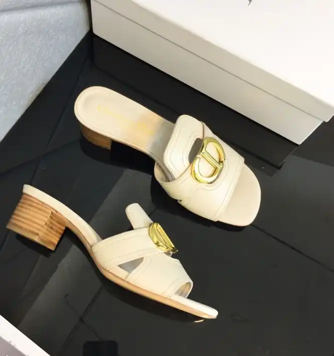 hype Christian Dior Slippers