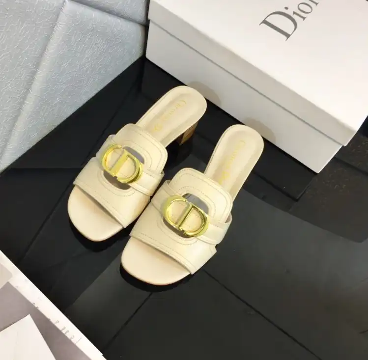 hype Christian Dior Slippers