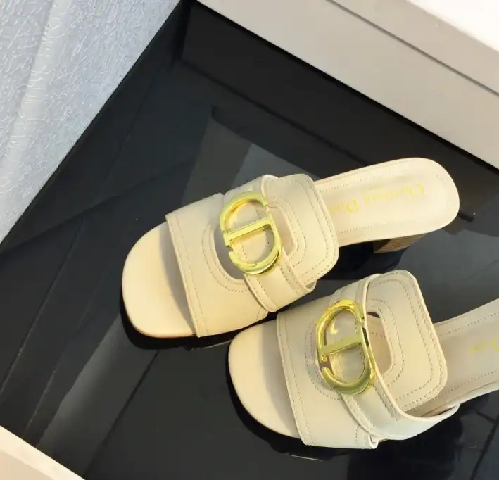 hype Christian Dior Slippers