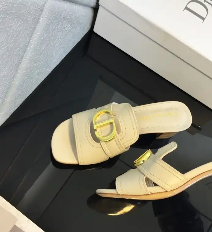 hype Christian Dior Slippers