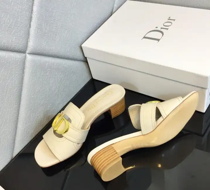 hype Christian Dior Slippers