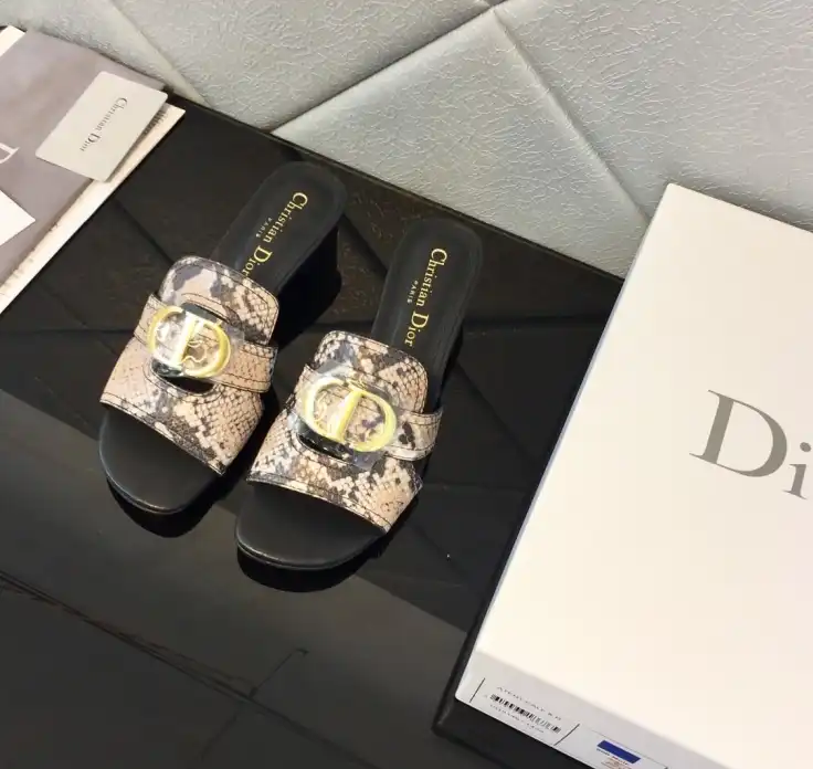 hype Christian Dior Slippers