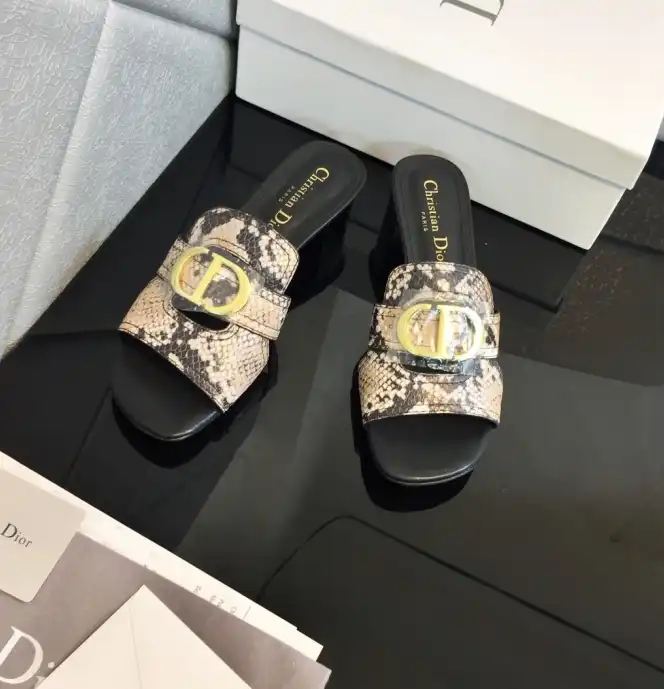 hype Christian Dior Slippers