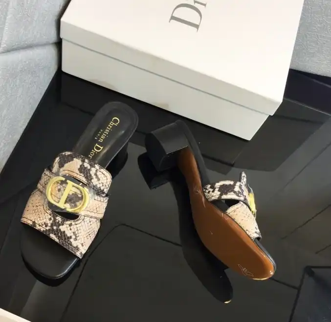 hype Christian Dior Slippers