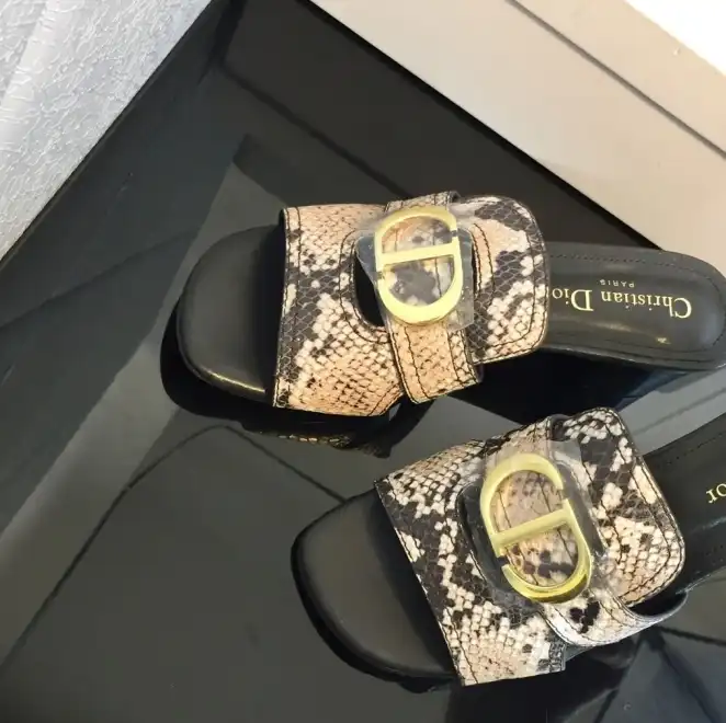 hype Christian Dior Slippers