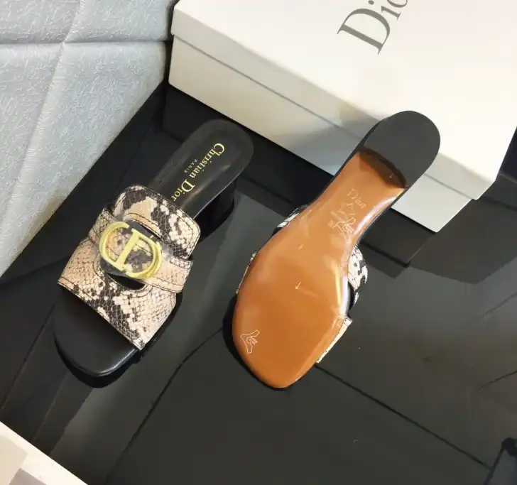 hype Christian Dior Slippers