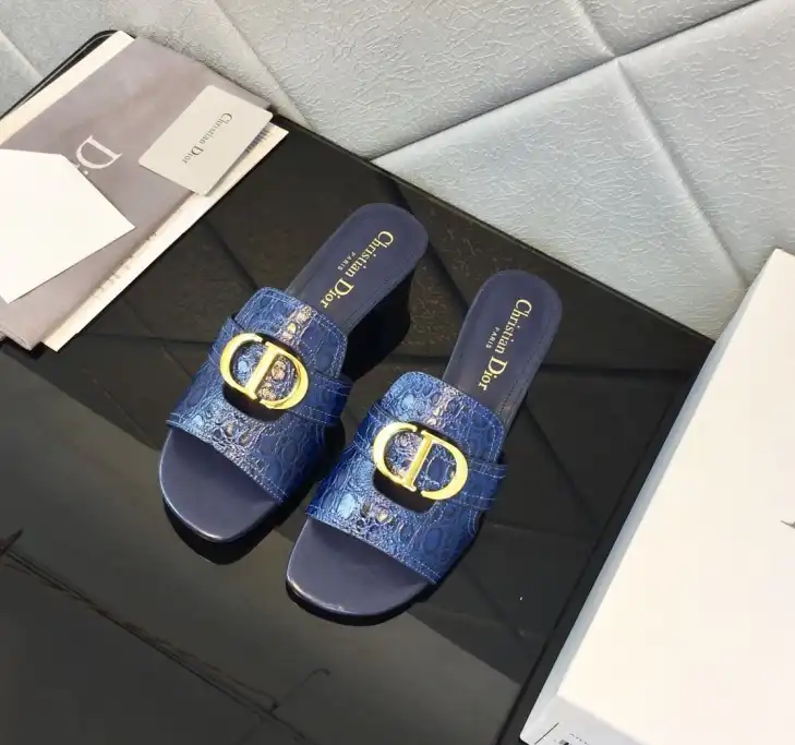 hype Christian Dior Slippers