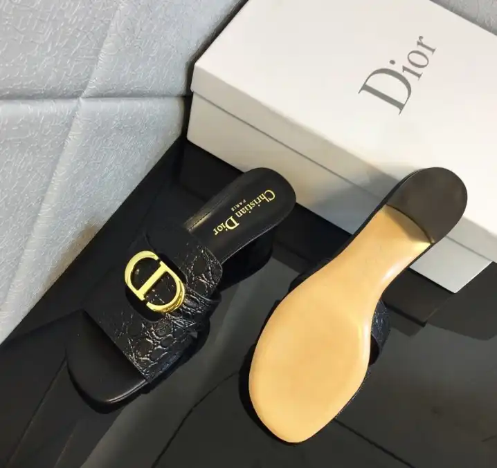 hype Christian Dior Slippers