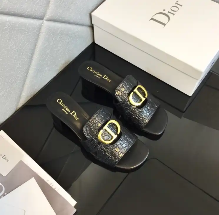 hype Christian Dior Slippers