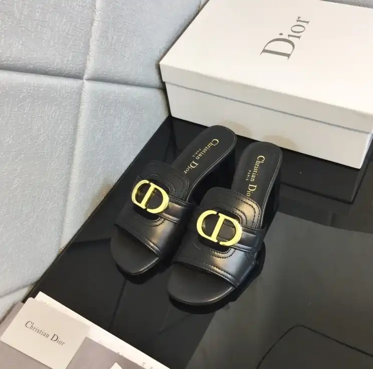 hype Christian Dior Slippers