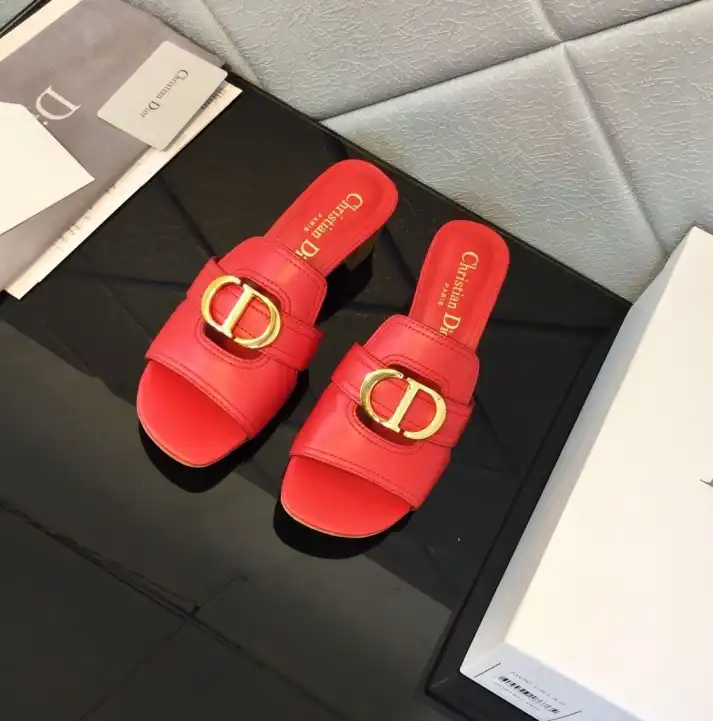 hype Christian Dior Slippers