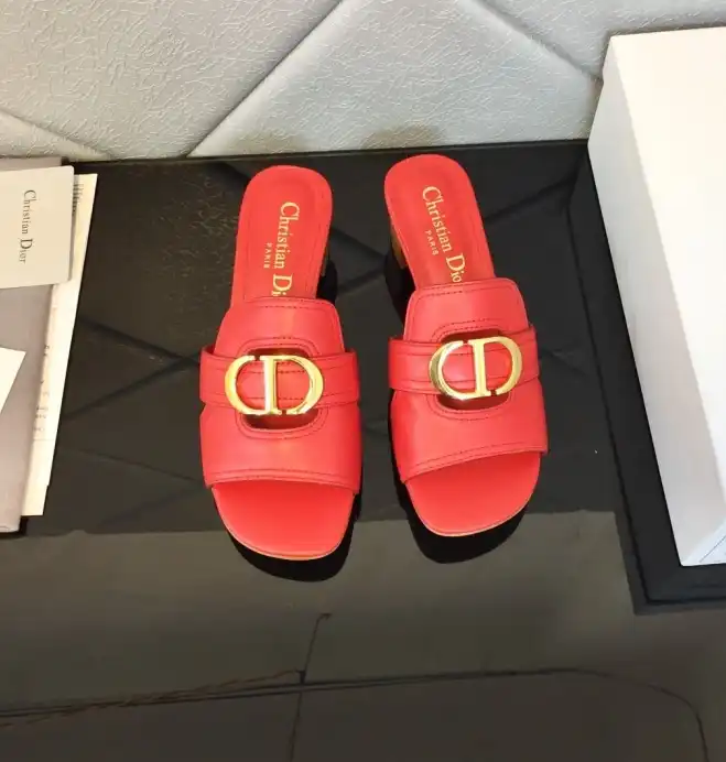 hype Christian Dior Slippers