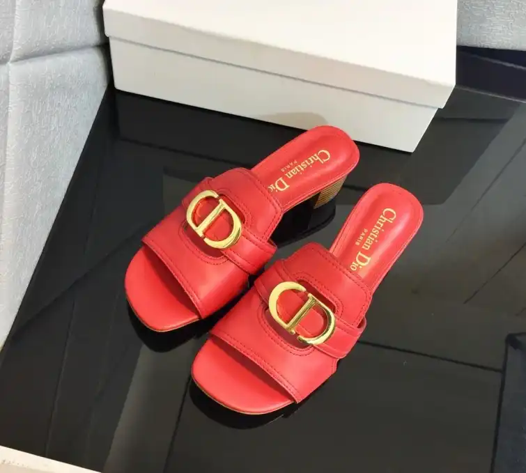 hype Christian Dior Slippers