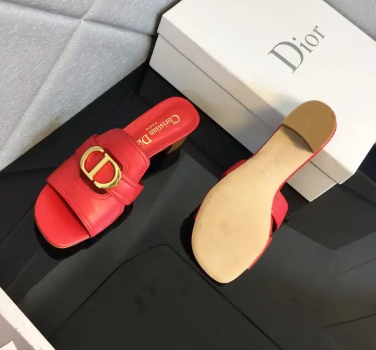 hype Christian Dior Slippers