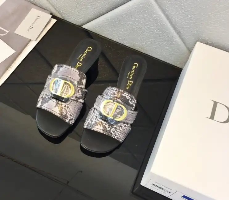 hype Christian Dior Slippers