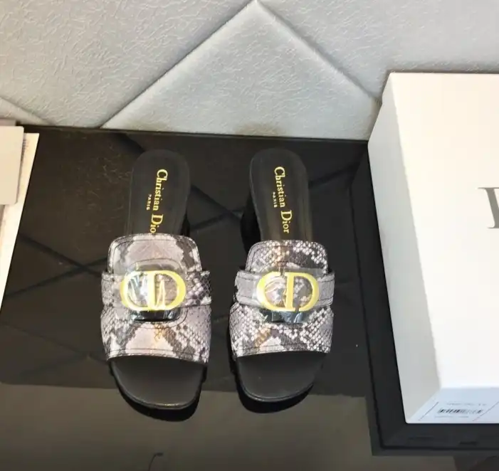 hype Christian Dior Slippers