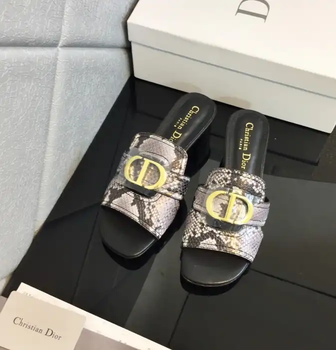 hype Christian Dior Slippers