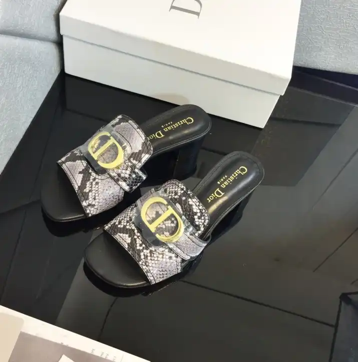 hype Christian Dior Slippers