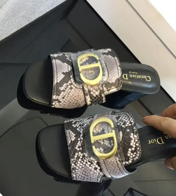 hype Christian Dior Slippers