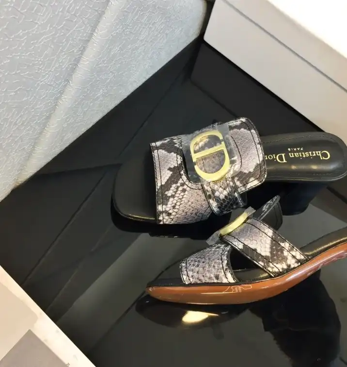 hype Christian Dior Slippers