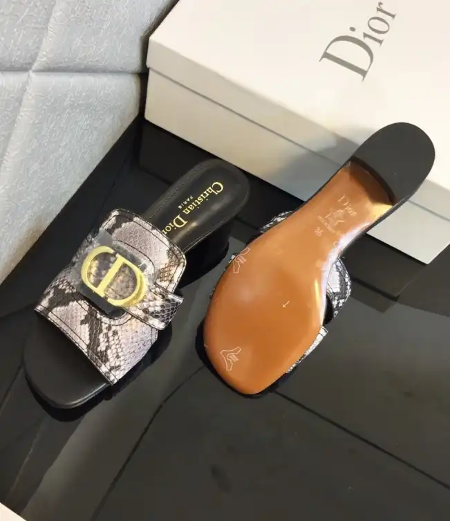 hype Christian Dior Slippers