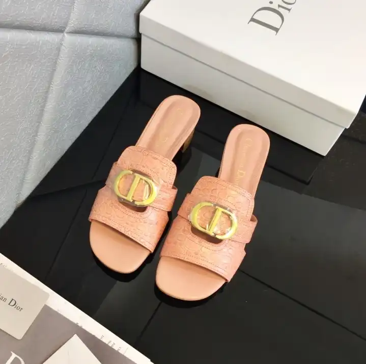 hype Christian Dior Slippers