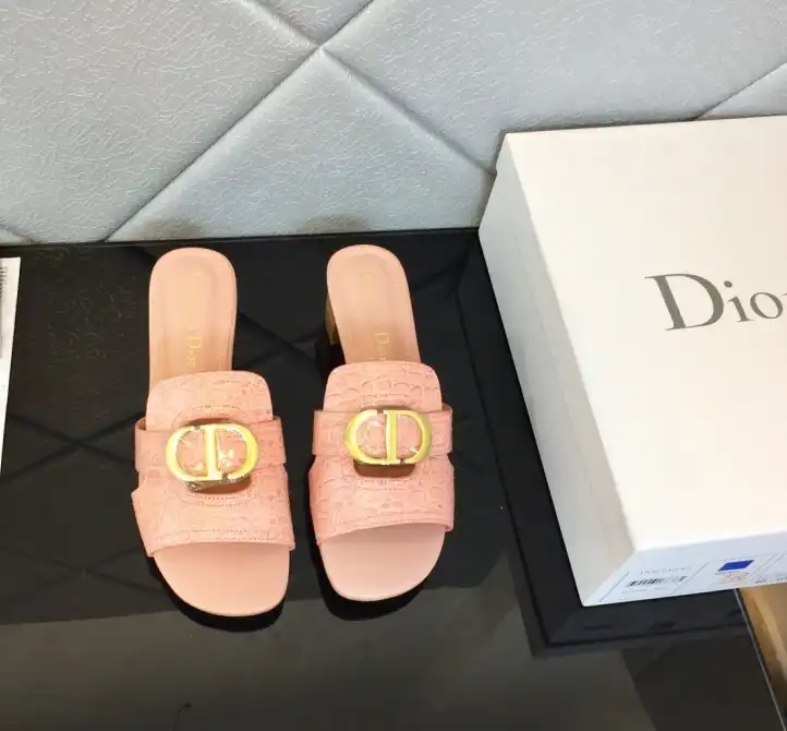 hype Christian Dior Slippers