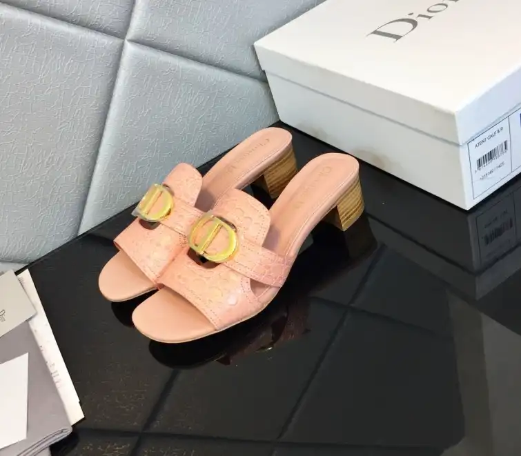 hype Christian Dior Slippers