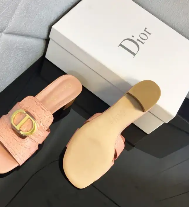 hype Christian Dior Slippers