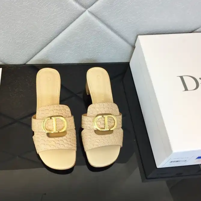 hype Christian Dior Slippers