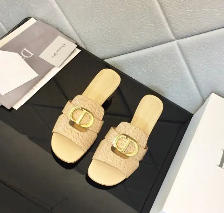 hype Christian Dior Slippers