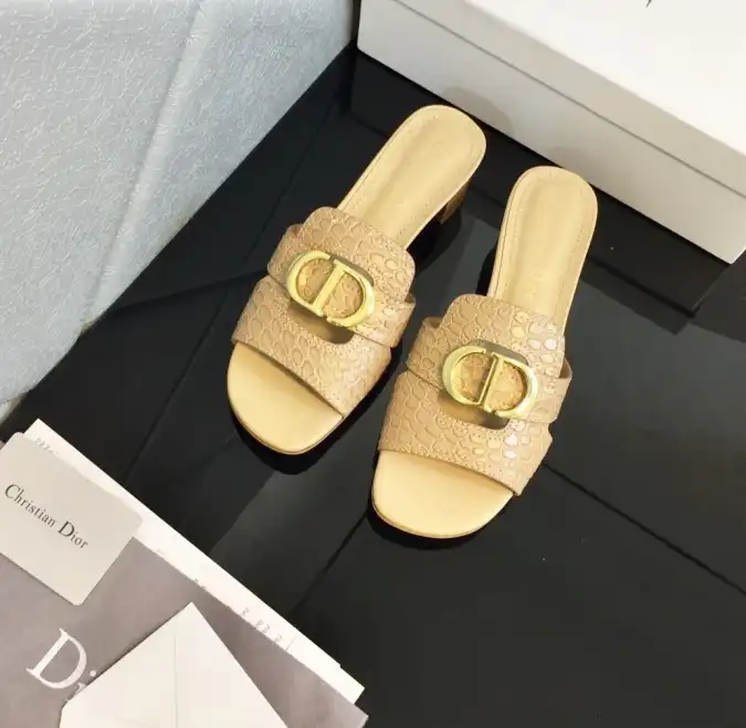 hype Christian Dior Slippers