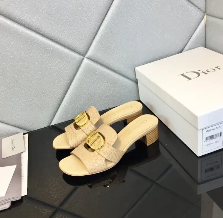 hype Christian Dior Slippers