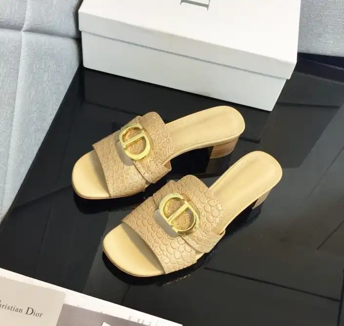 hype Christian Dior Slippers