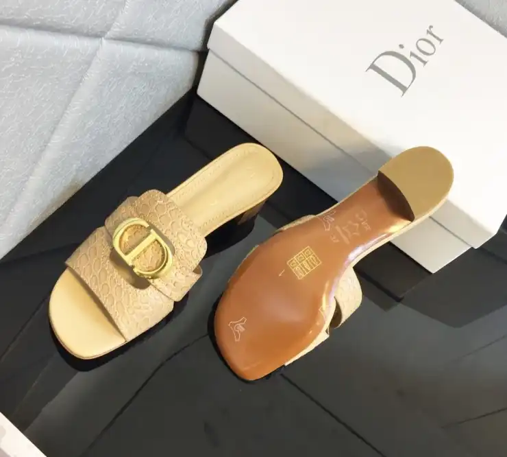 hype Christian Dior Slippers