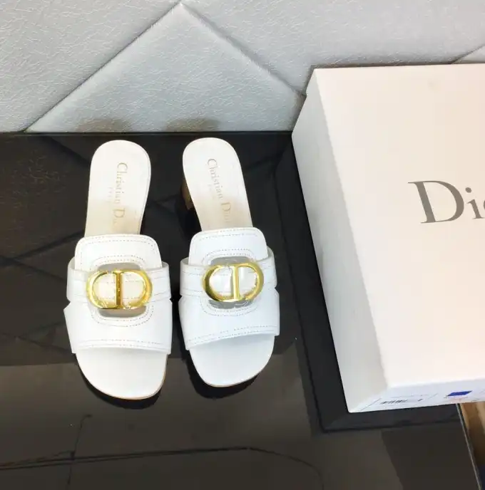 hype Christian Dior Slippers