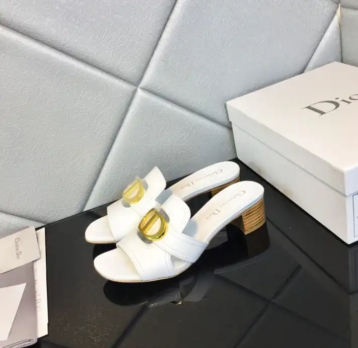 hype Christian Dior Slippers