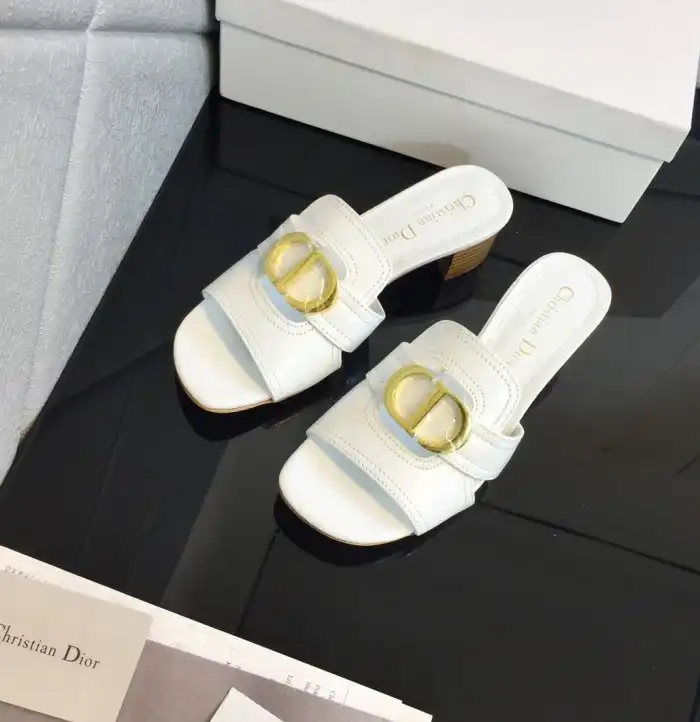 hype Christian Dior Slippers