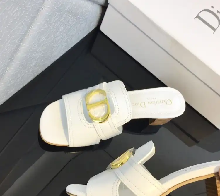 hype Christian Dior Slippers