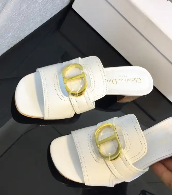 hype Christian Dior Slippers