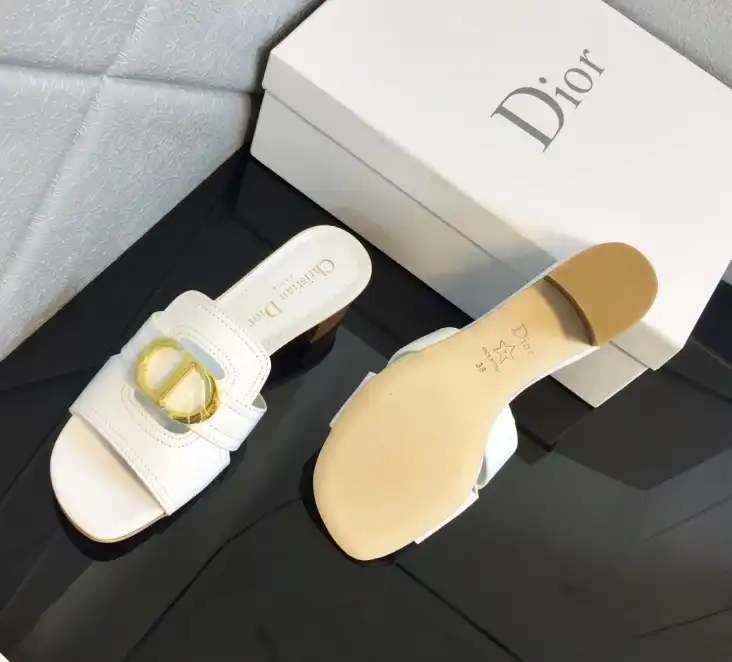 hype Christian Dior Slippers