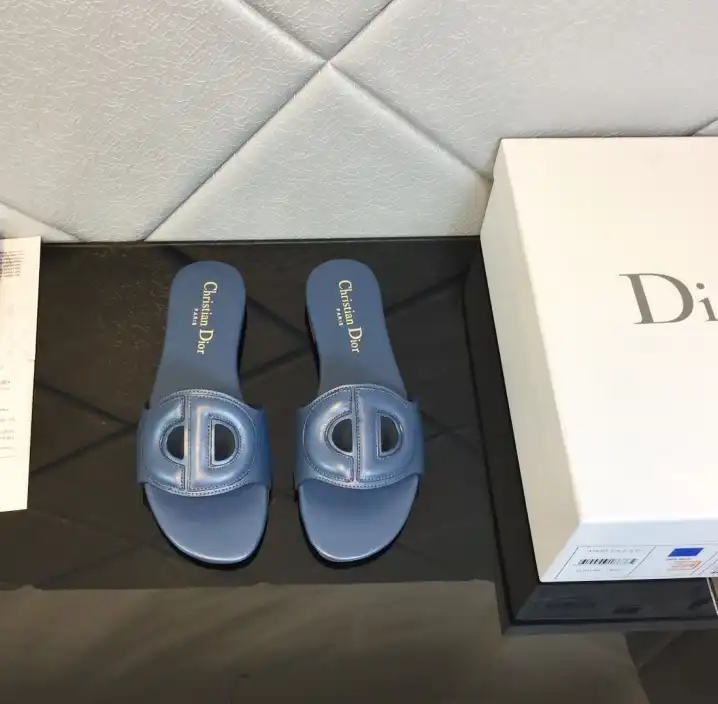 hype Christian Dior Slippers