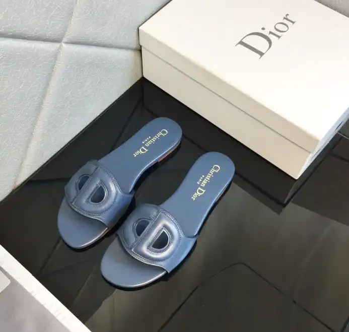 hype Christian Dior Slippers