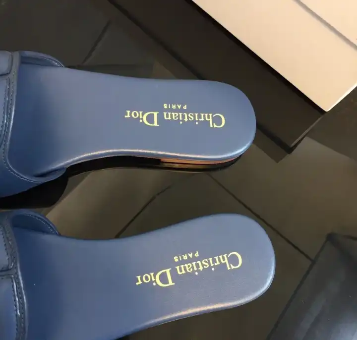 hype Christian Dior Slippers