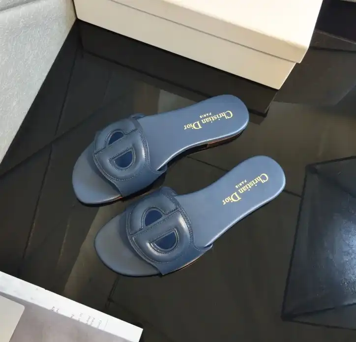 hype Christian Dior Slippers