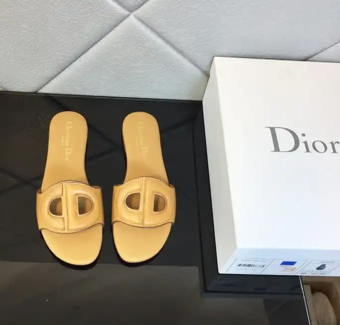 hype Christian Dior Slippers