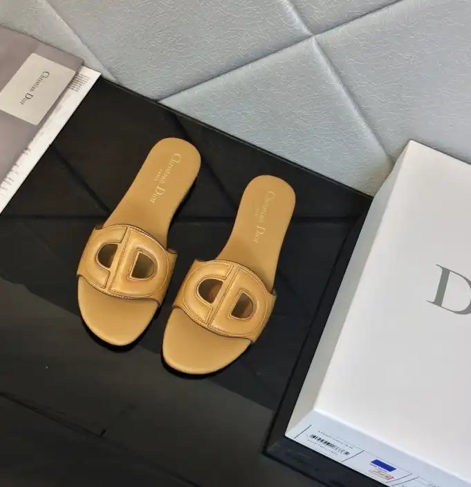 hype Christian Dior Slippers